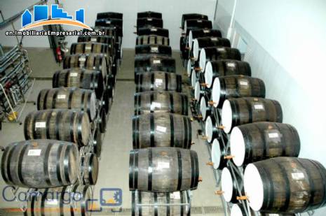 Small business for the production of cacha�a