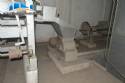 Line for mechanical extraction of vegetable oils